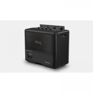 Αφυγραντήρας Inventor Melody MD-IONWD-20L 20lt/24h Μαύρος  
