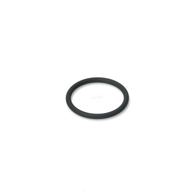 Φλάντζα O -ring για Αυτόματο Πωλητή Καφέ BIANCHI 29,74X2,95 VITON